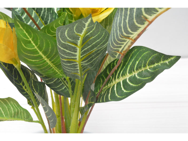 グリーンアレンジ(ゼブラ)