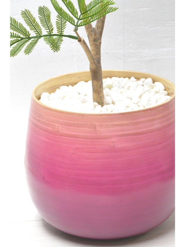 エバーグリーン(1点物)