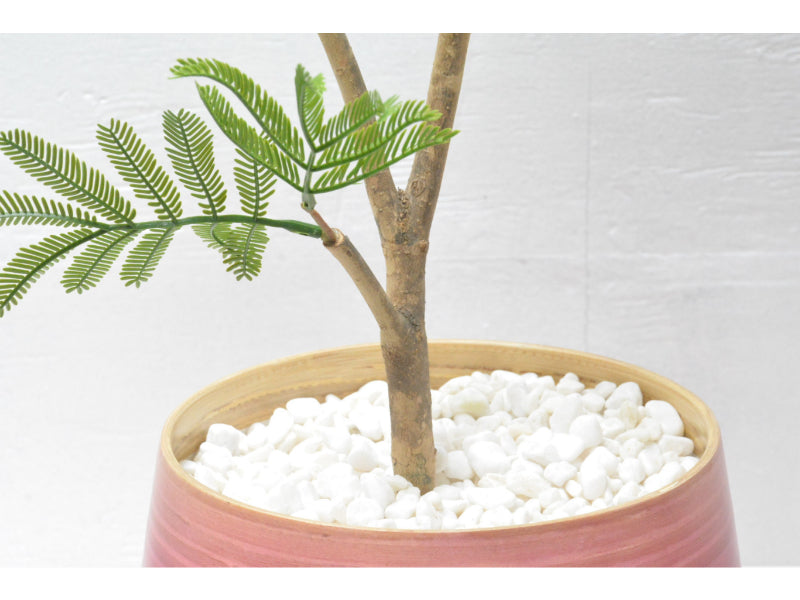 エバーグリーン(1点物)