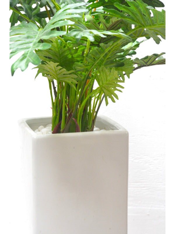 スプリットフィロ(1点物)