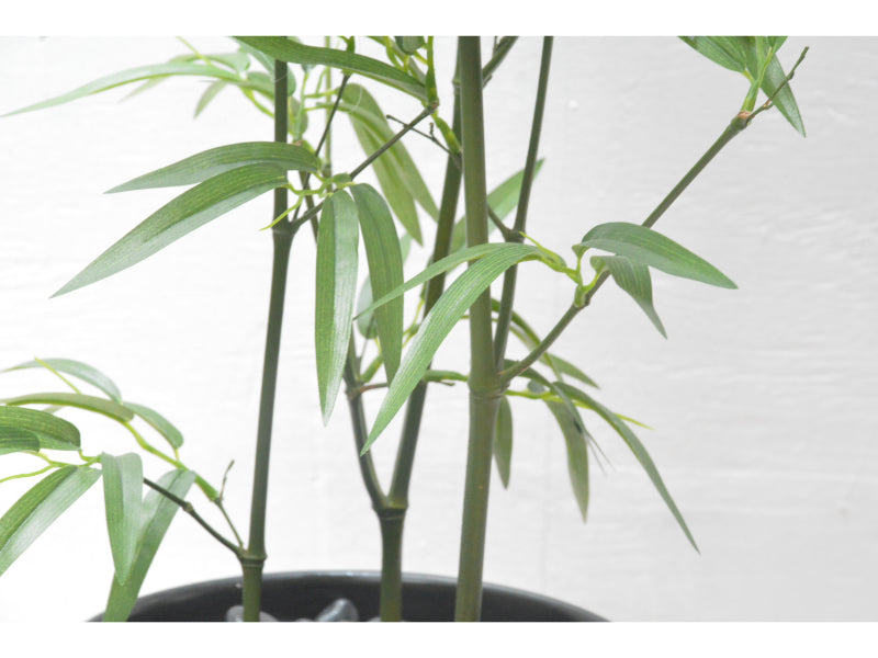 竹(1点物)