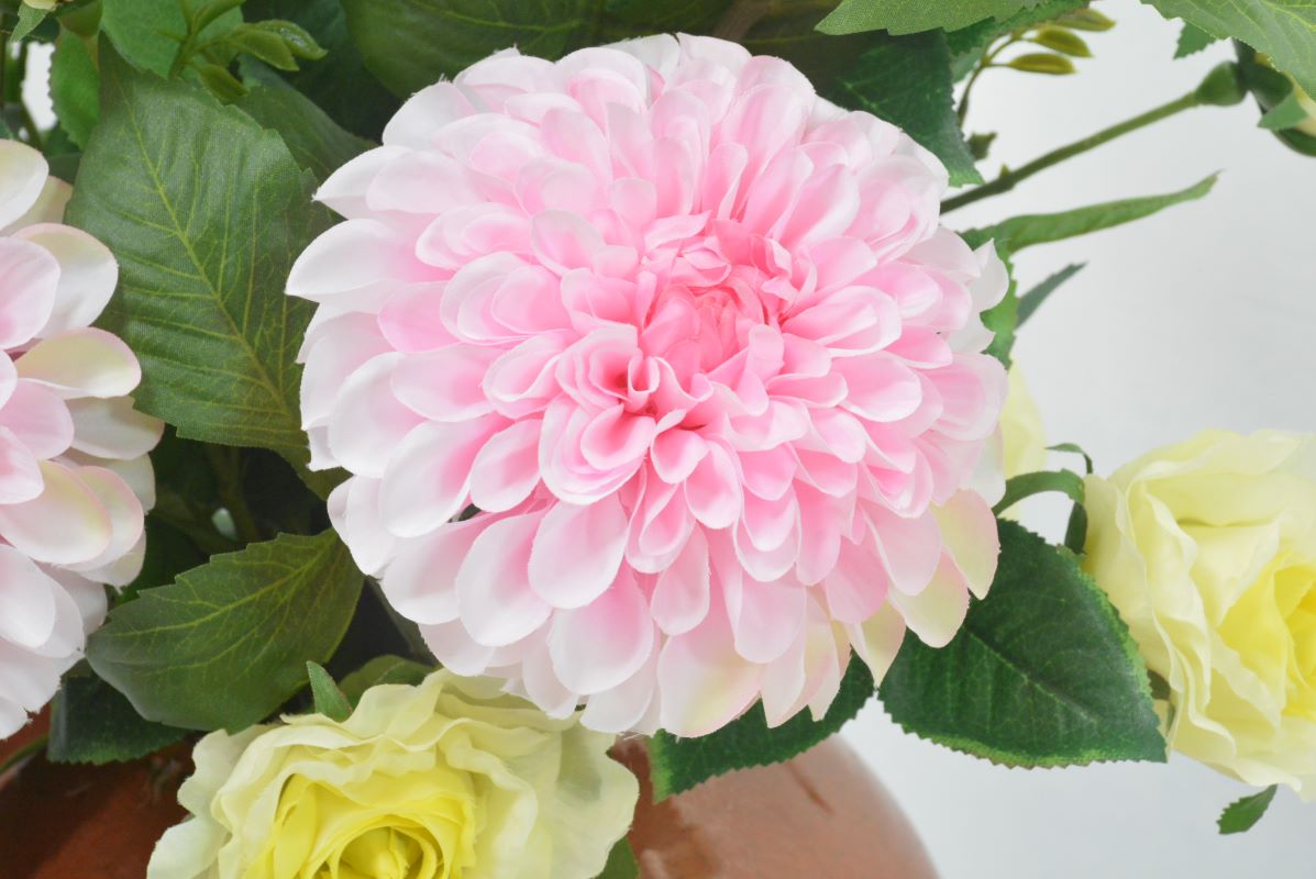 ダリア・バラ(1点物)