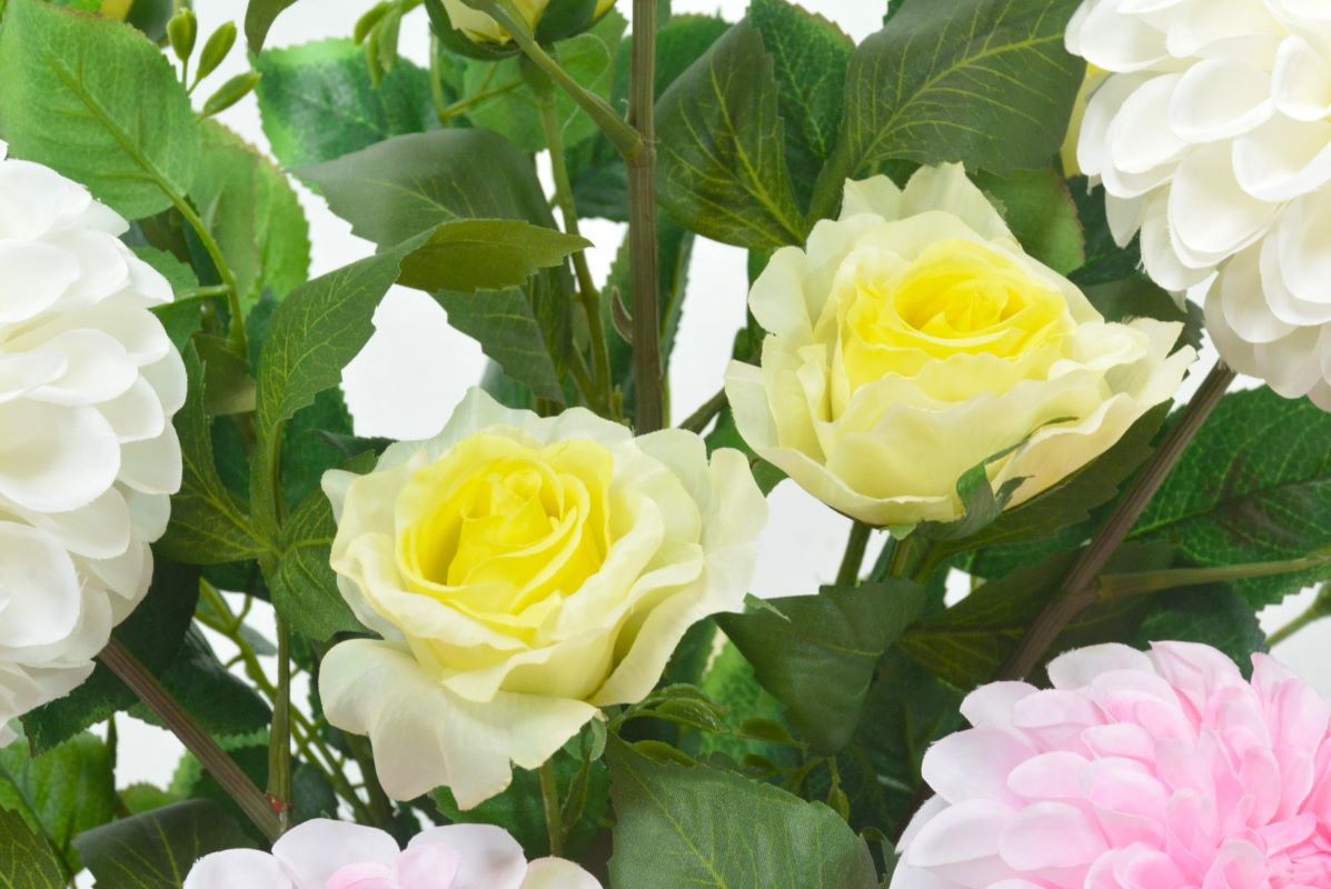 ダリア・バラ(1点物)