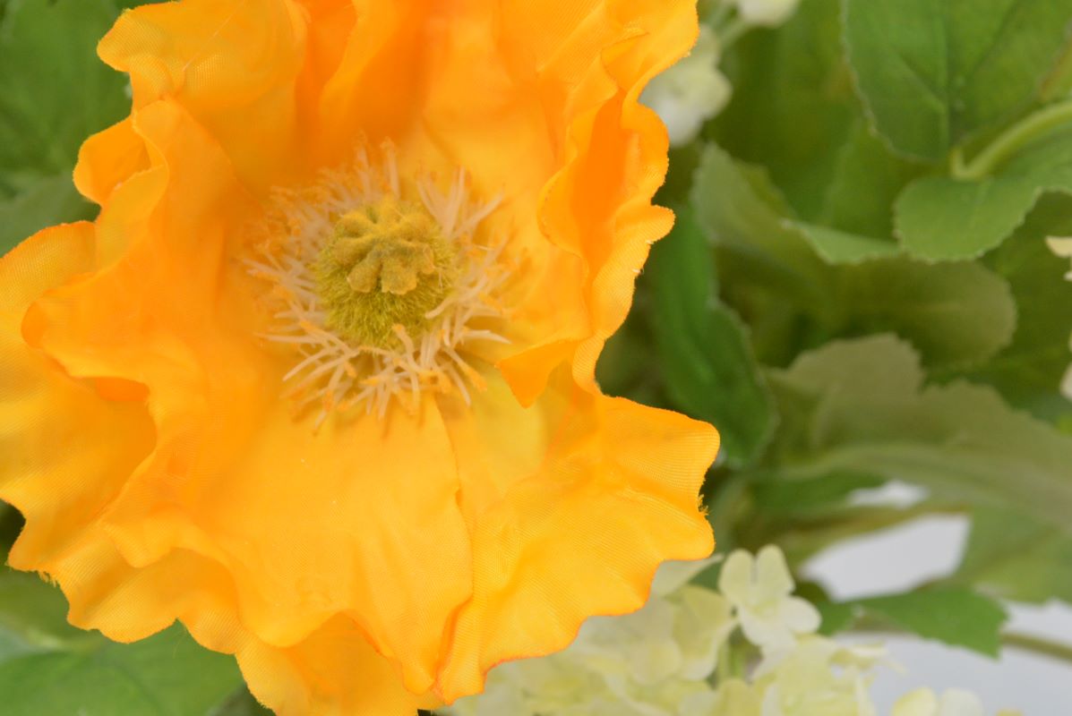 ポピー・スノーボール(1点物)