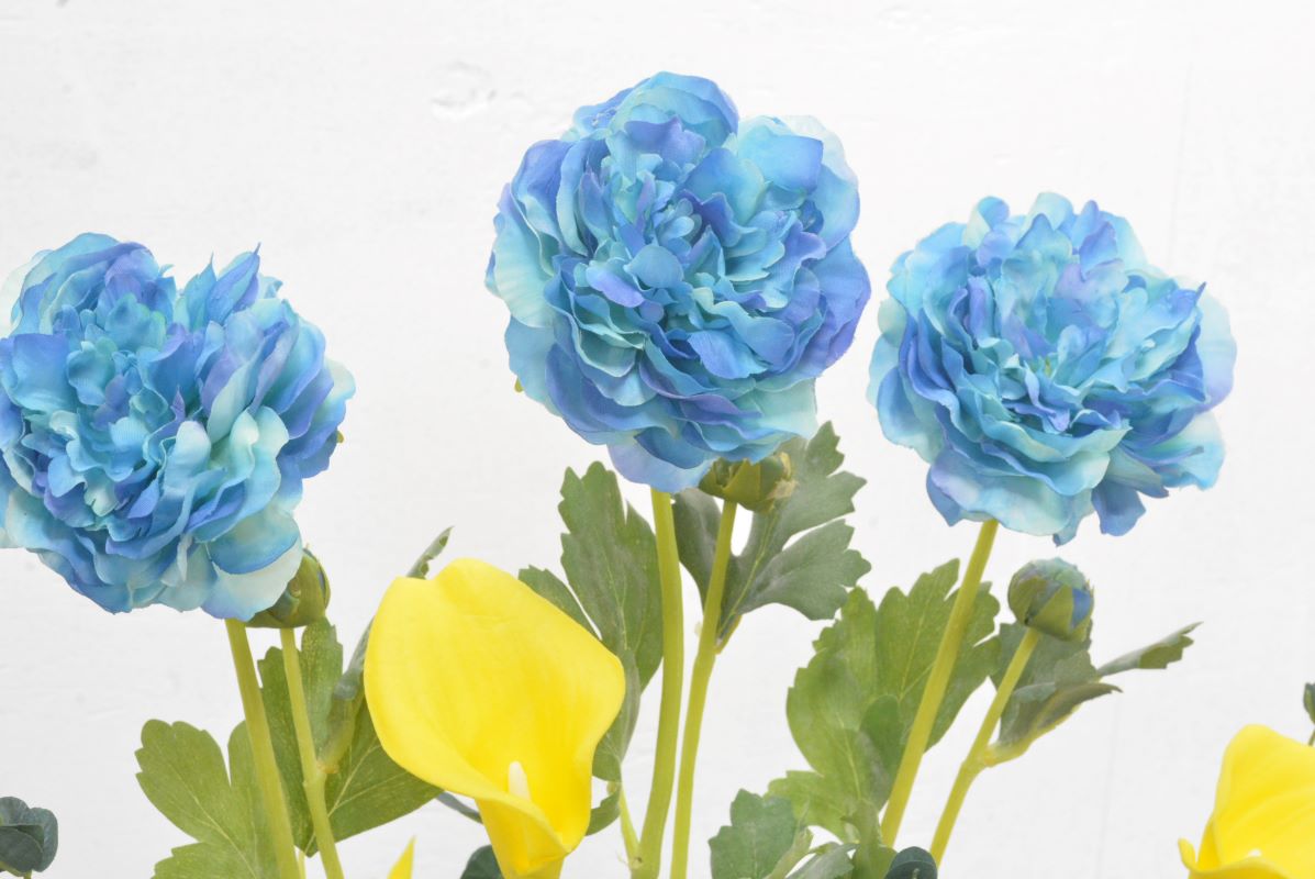 ラナンキュラス・カラー(1点物)