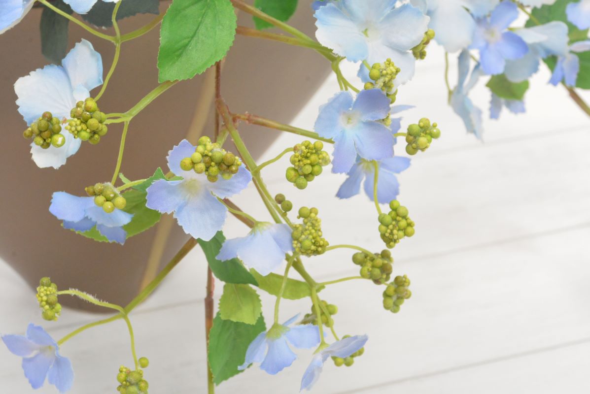 ハイドレンジア(1点物)