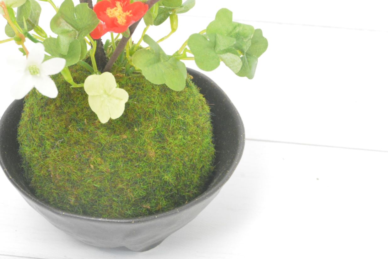 梅・ミセバヤ(1点物)