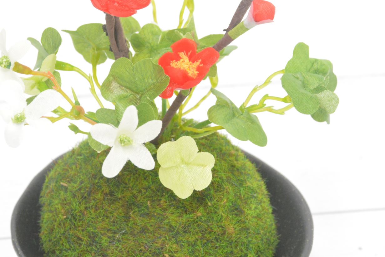 梅・ミセバヤ(1点物)