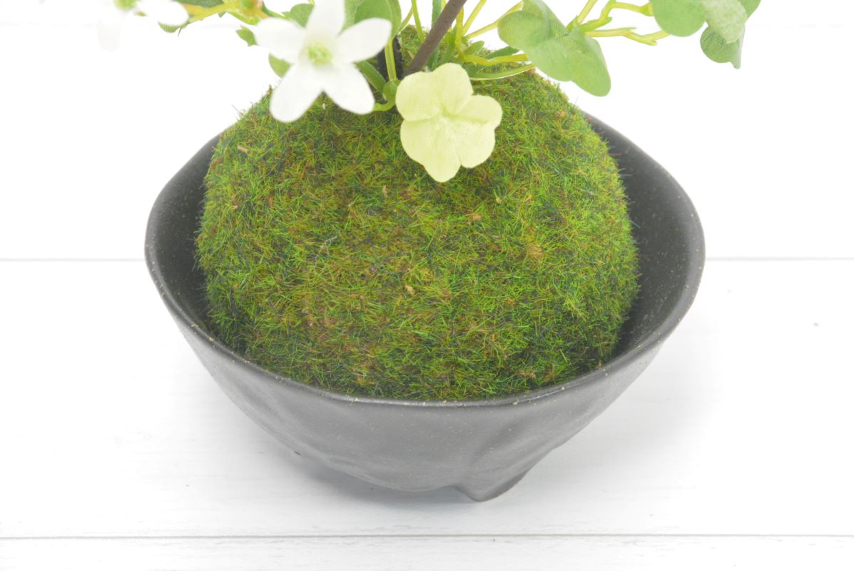 梅・ミセバヤ(1点物)