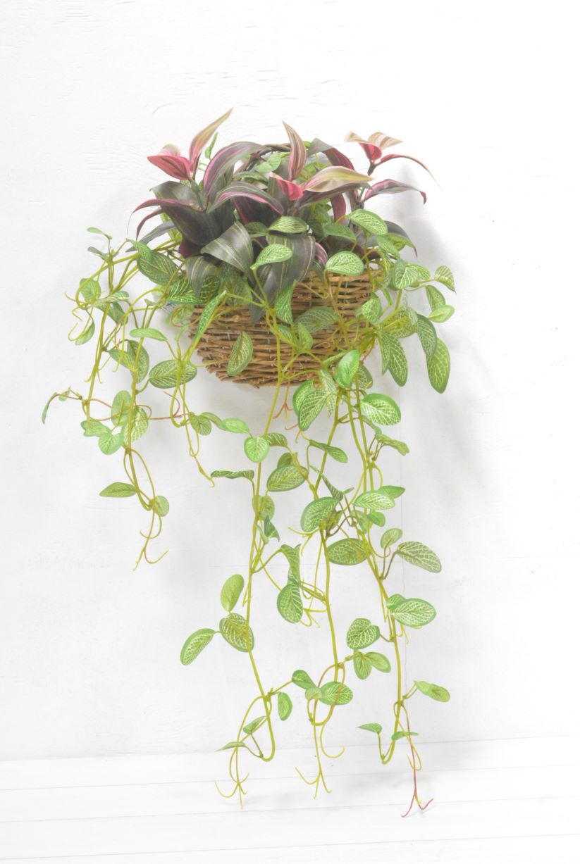 グリーンアレンジ壁掛け(1点物)