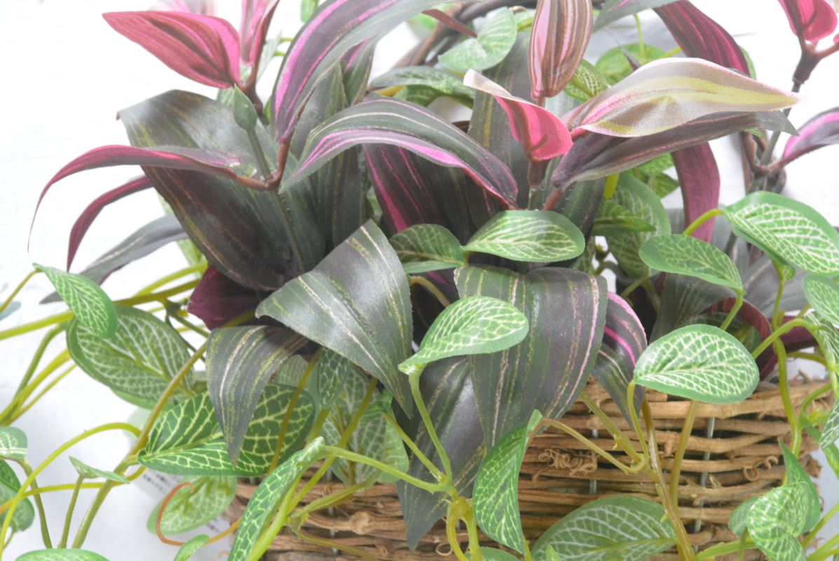 グリーンアレンジ壁掛け(1点物)