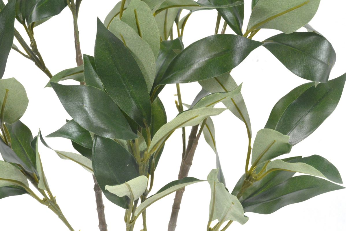 しきみ(中) 一対