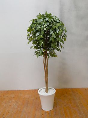 GO-375