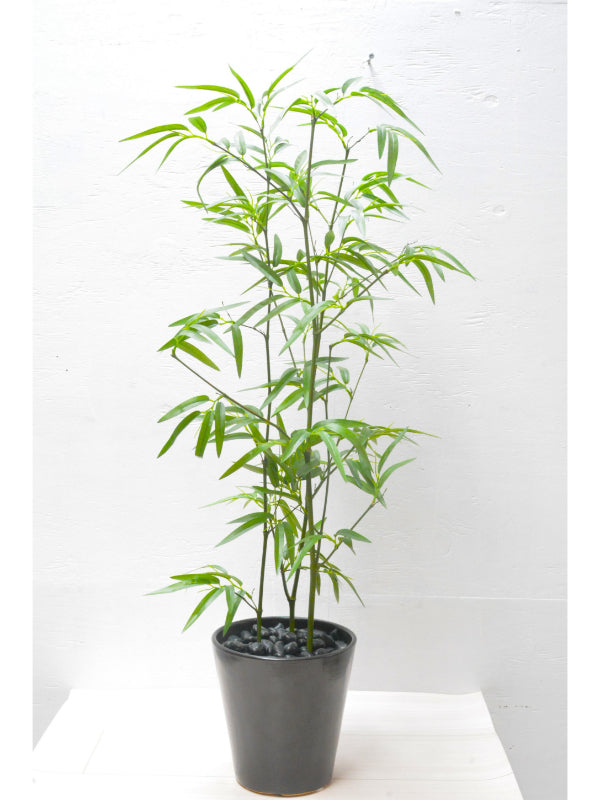 竹(1点物)