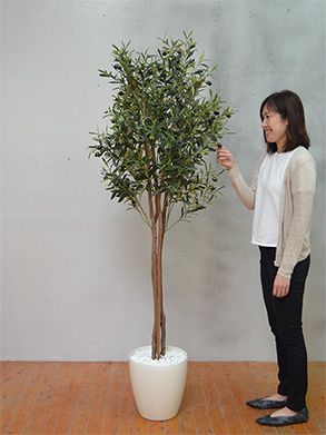 GOW-031