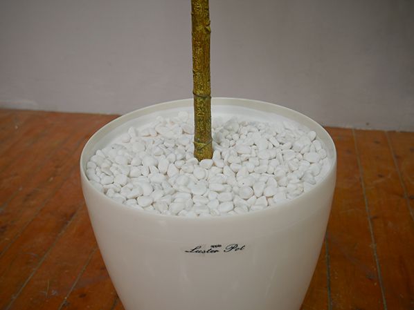 GOW-255