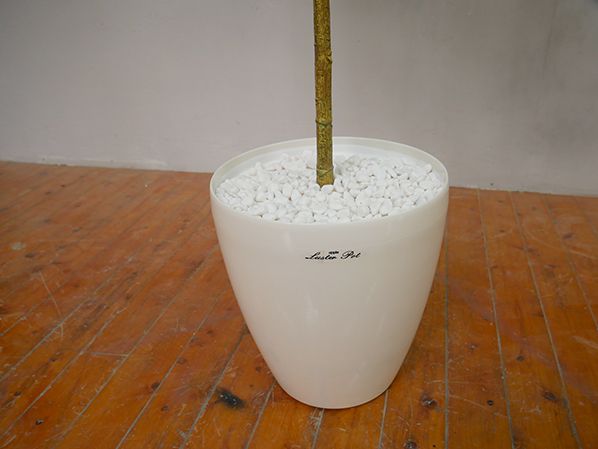 GOW-255
