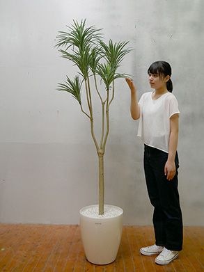 GOW-291