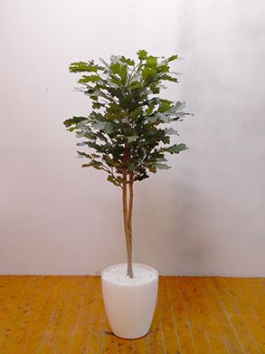 GOW-303