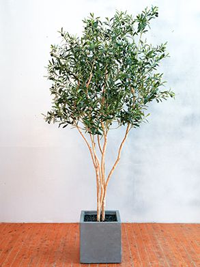 GOW-415