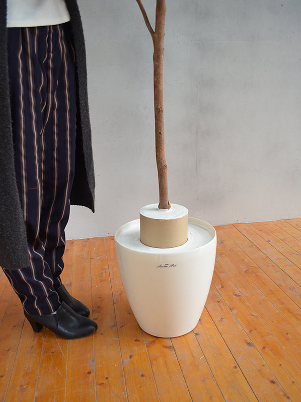 マウンテンアッシュ