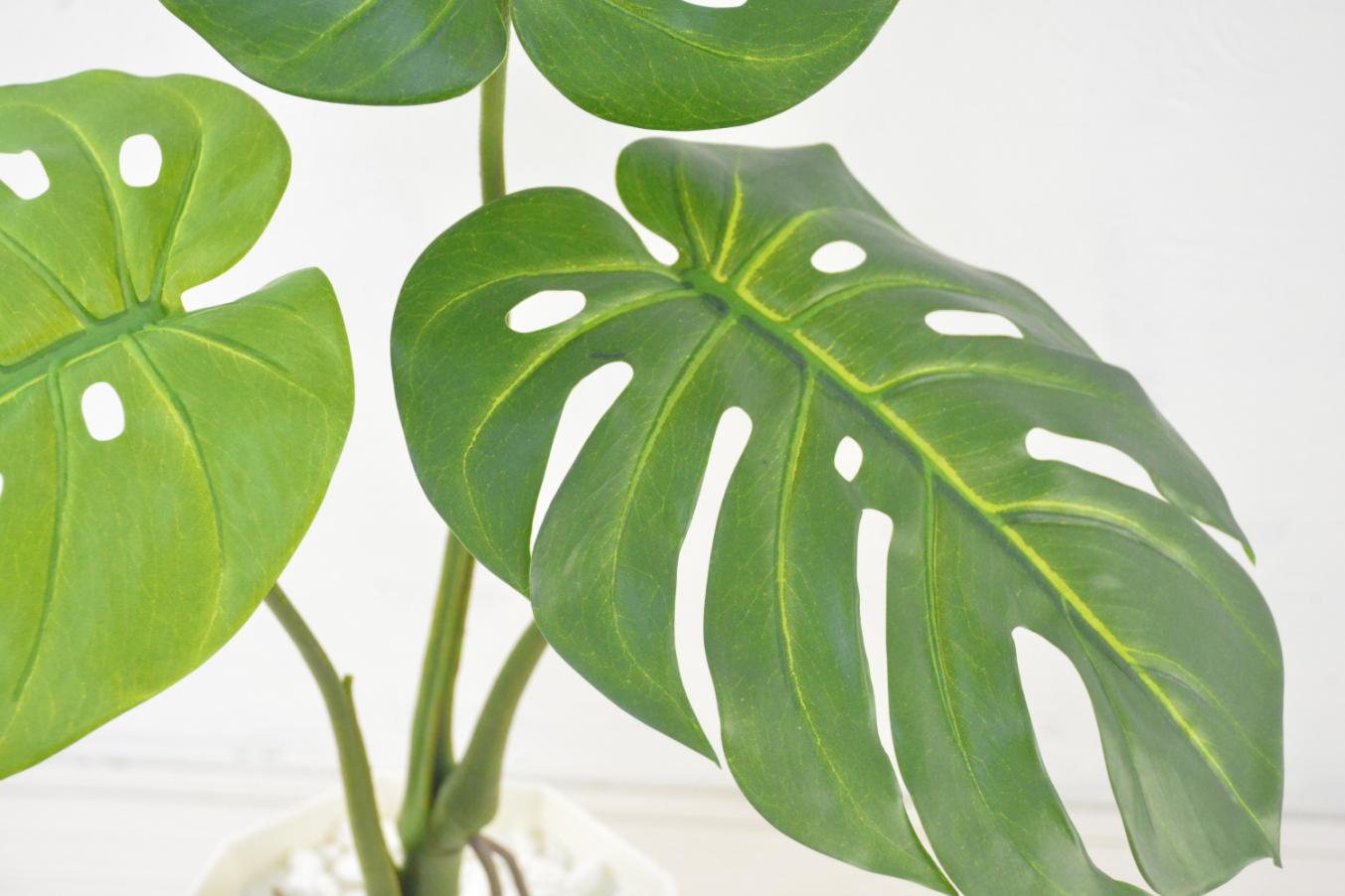 スプリットフィロ