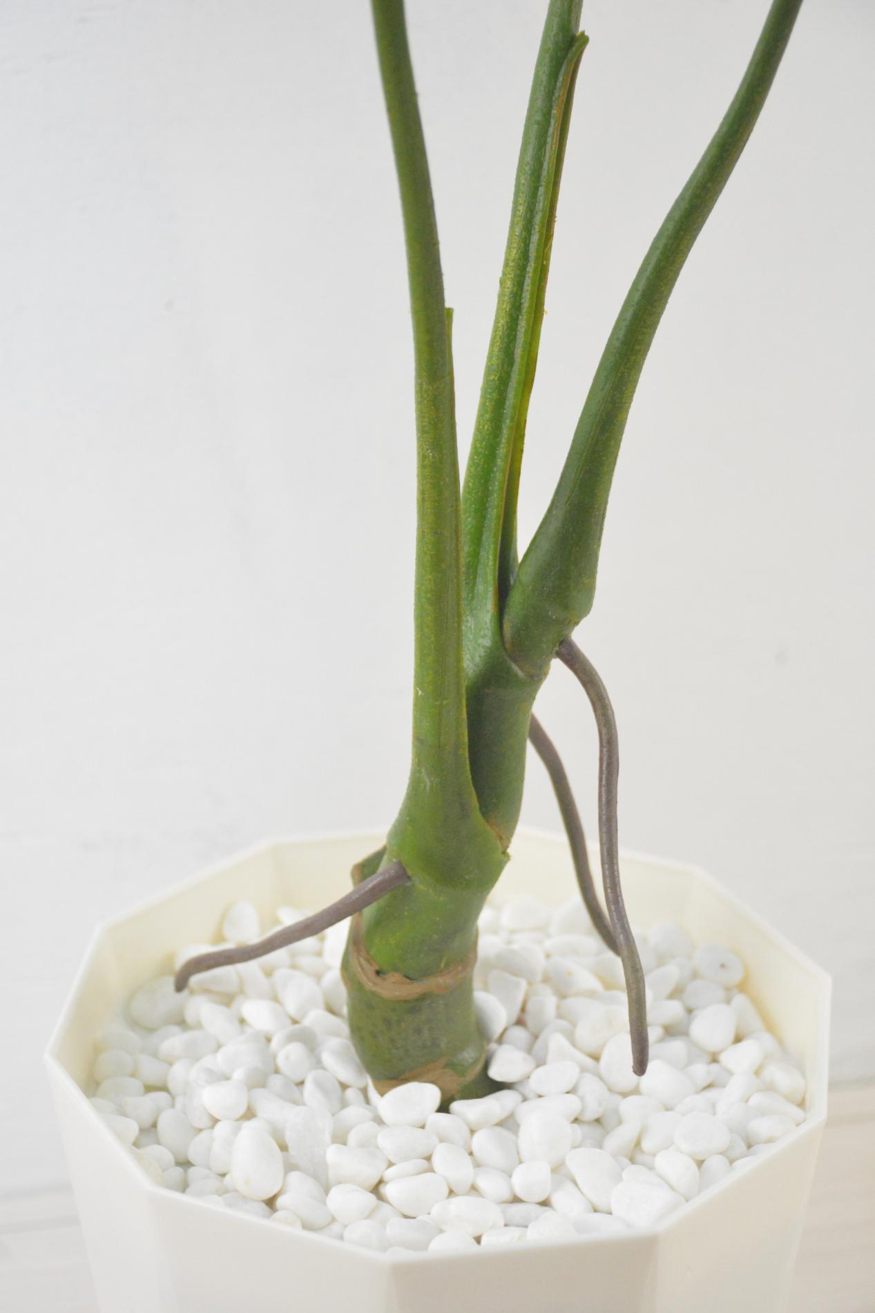 スプリットフィロ