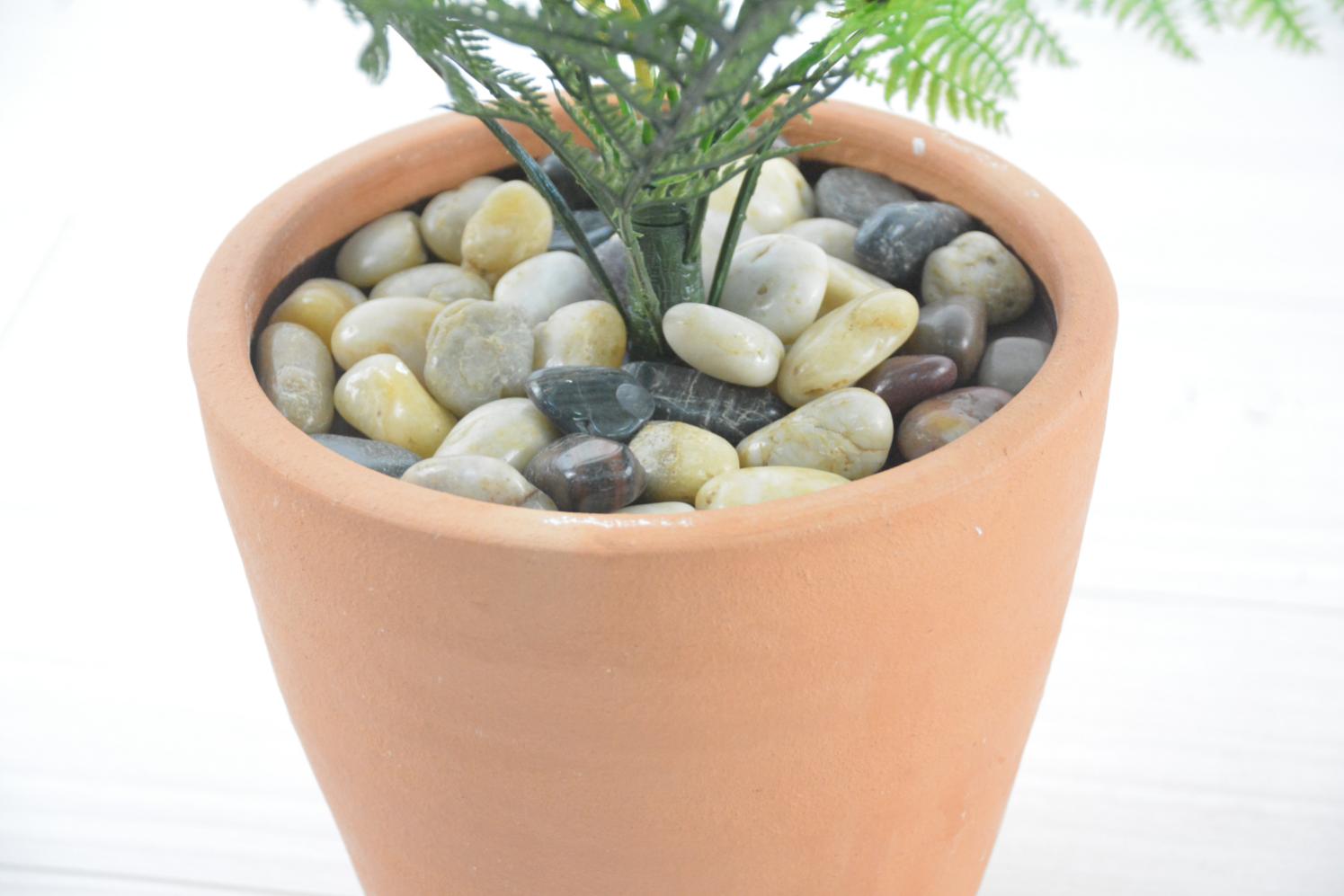 ラファエルファーン(1点物)