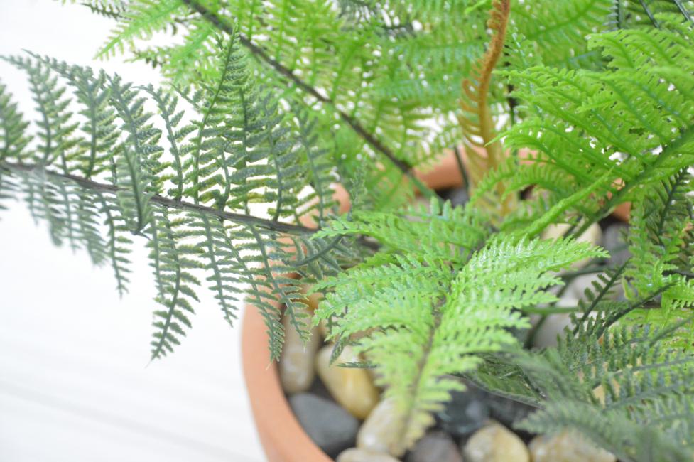 ラファエルファーン(1点物)