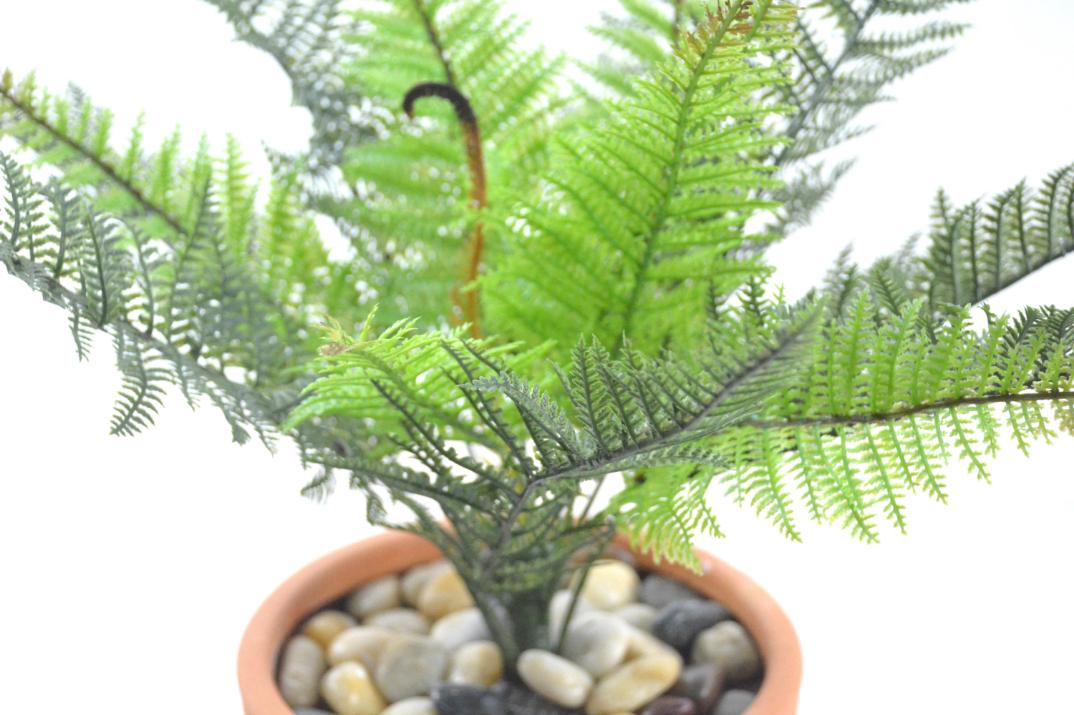 ラファエルファーン(1点物)