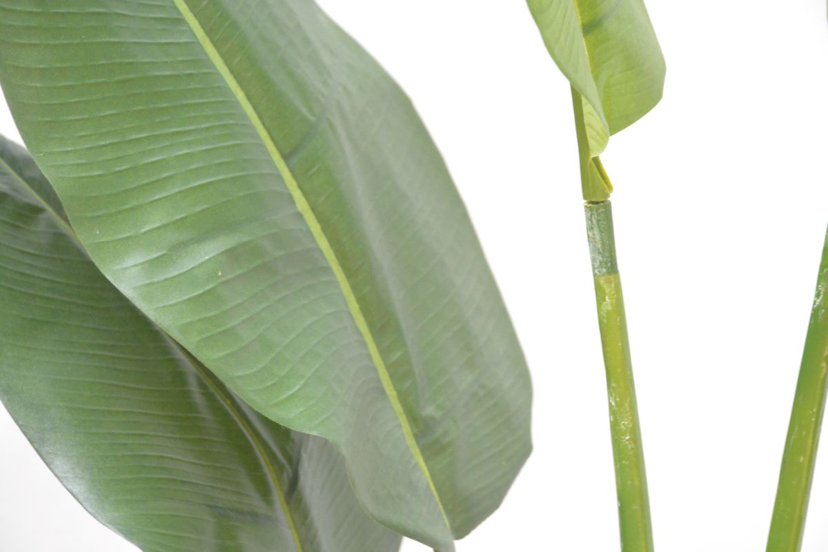 スモールトラベラーズパーム(1点物)