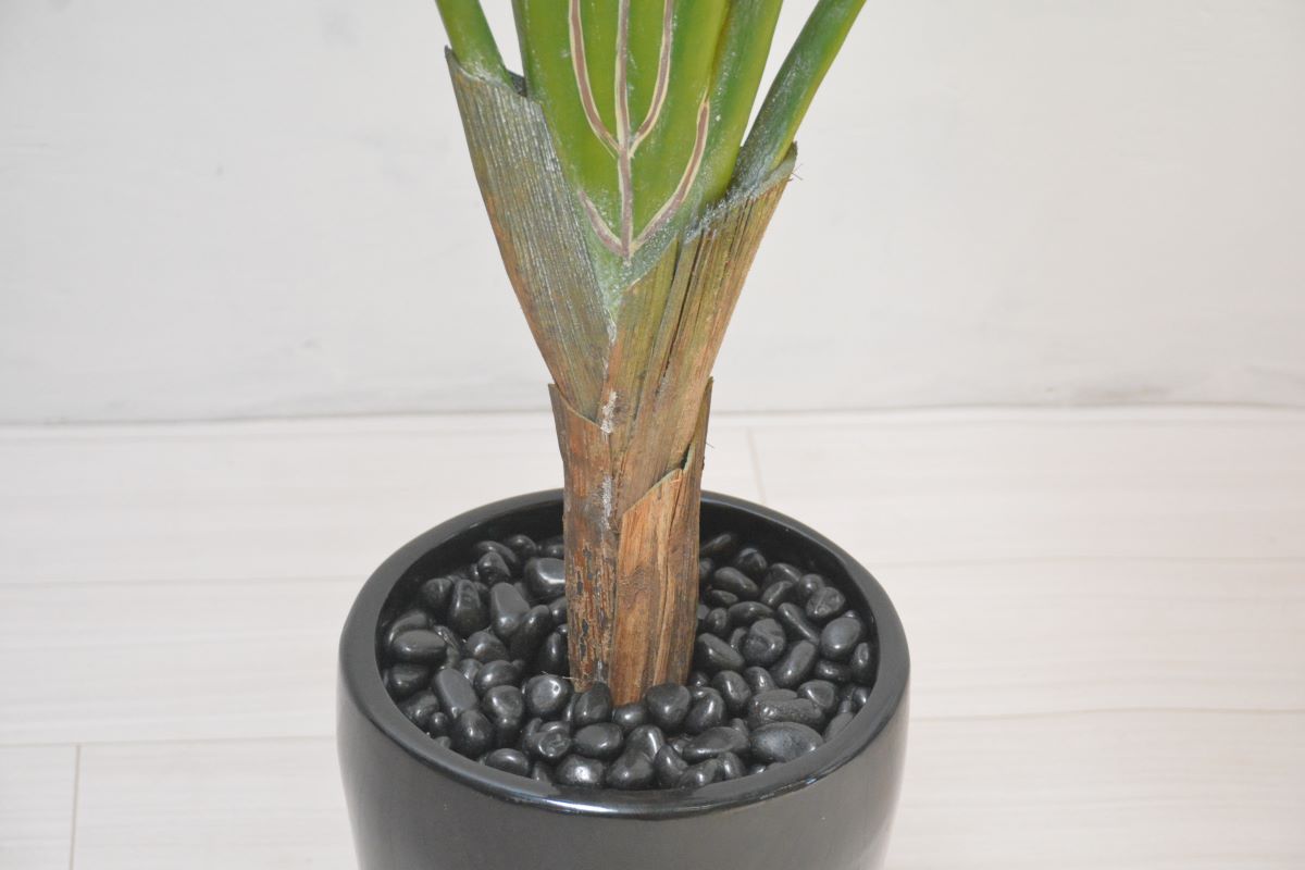 スモールトラベラーズパーム(1点物)