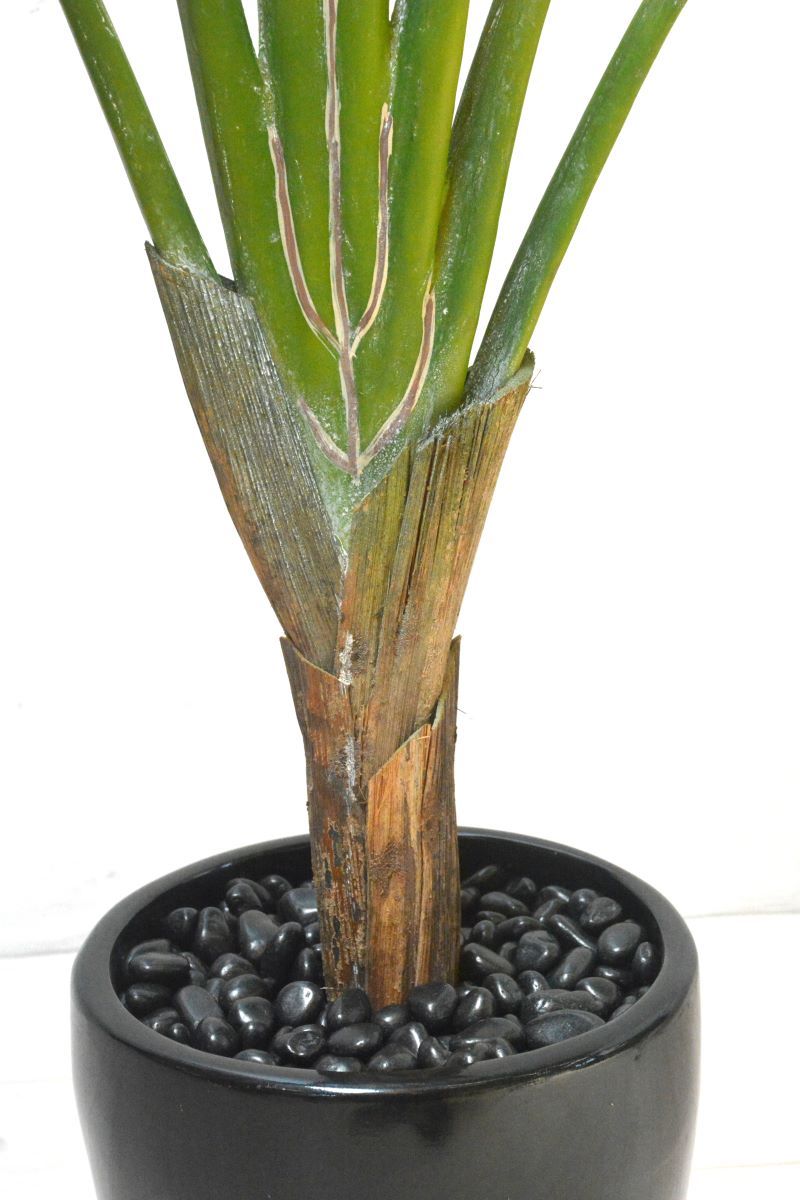 スモールトラベラーズパーム(1点物)