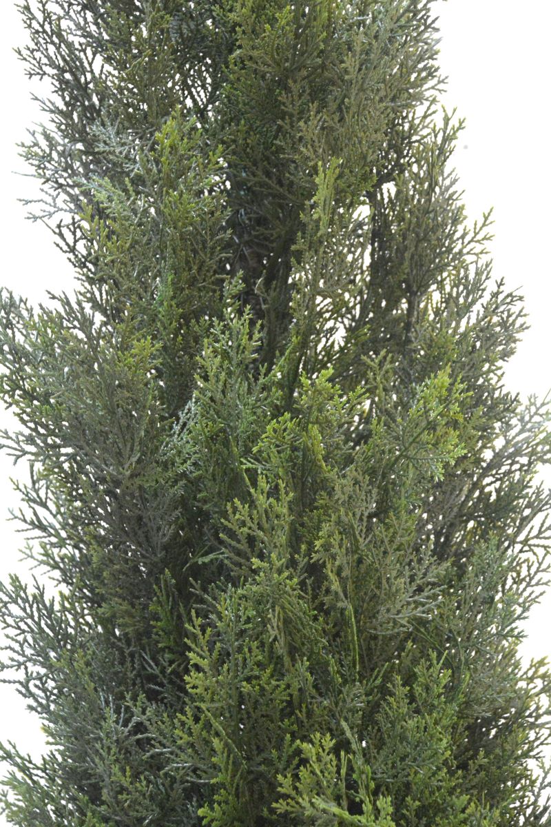 シダツリー(1点物)