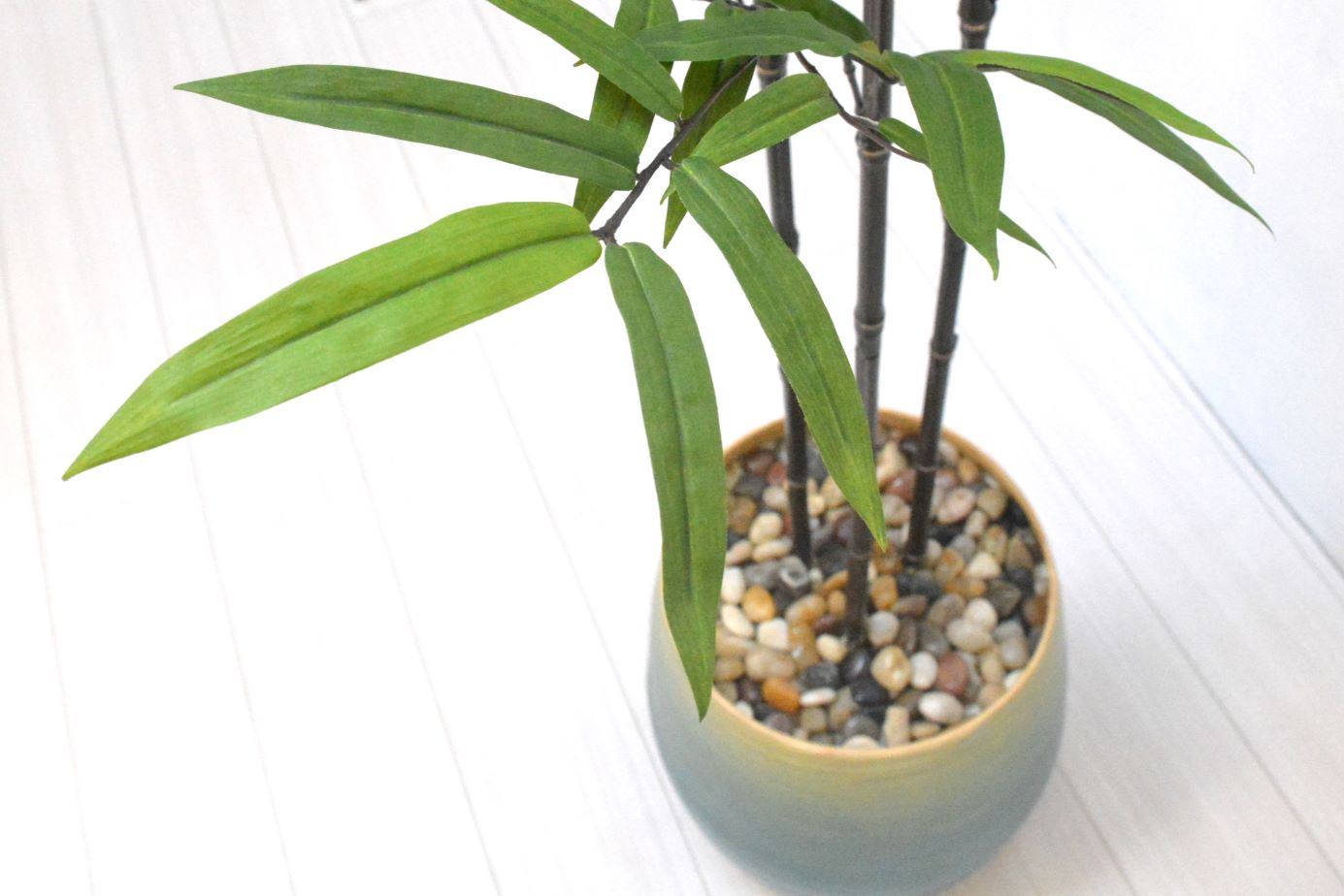 黒竹3本立て(1点物)