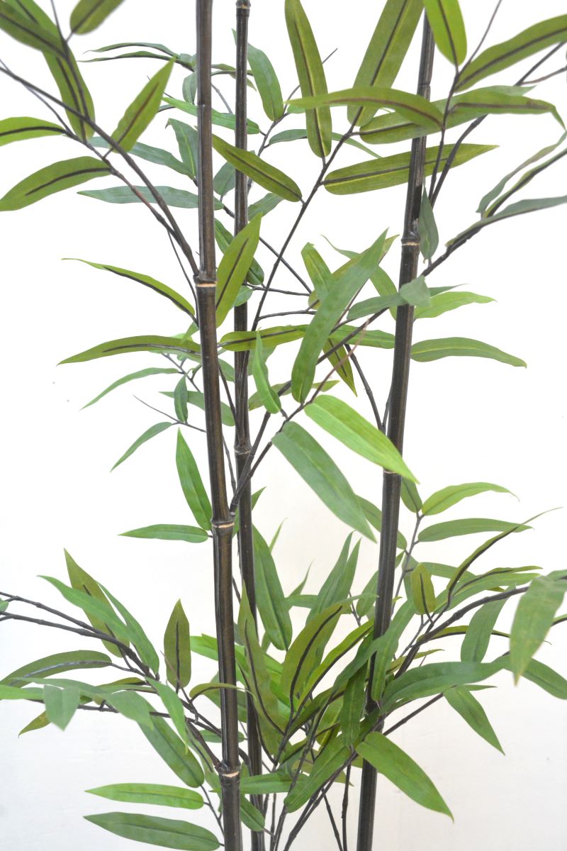 黒竹3本立て(1点物)