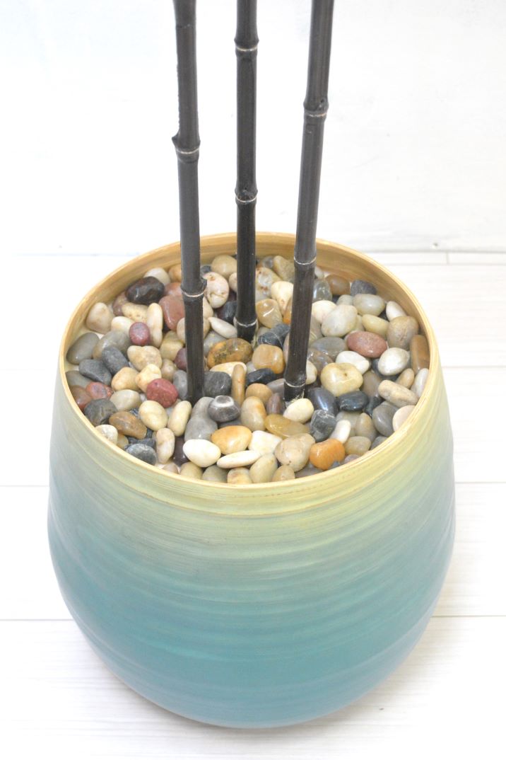 黒竹3本立て(1点物)