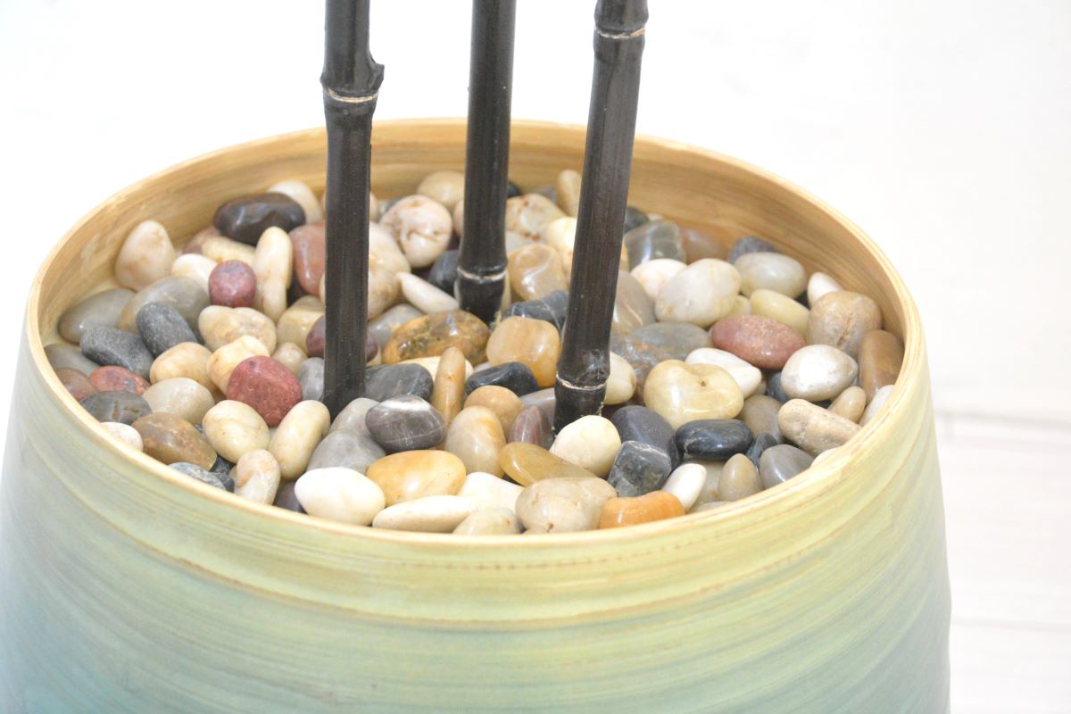 黒竹3本立て(1点物)