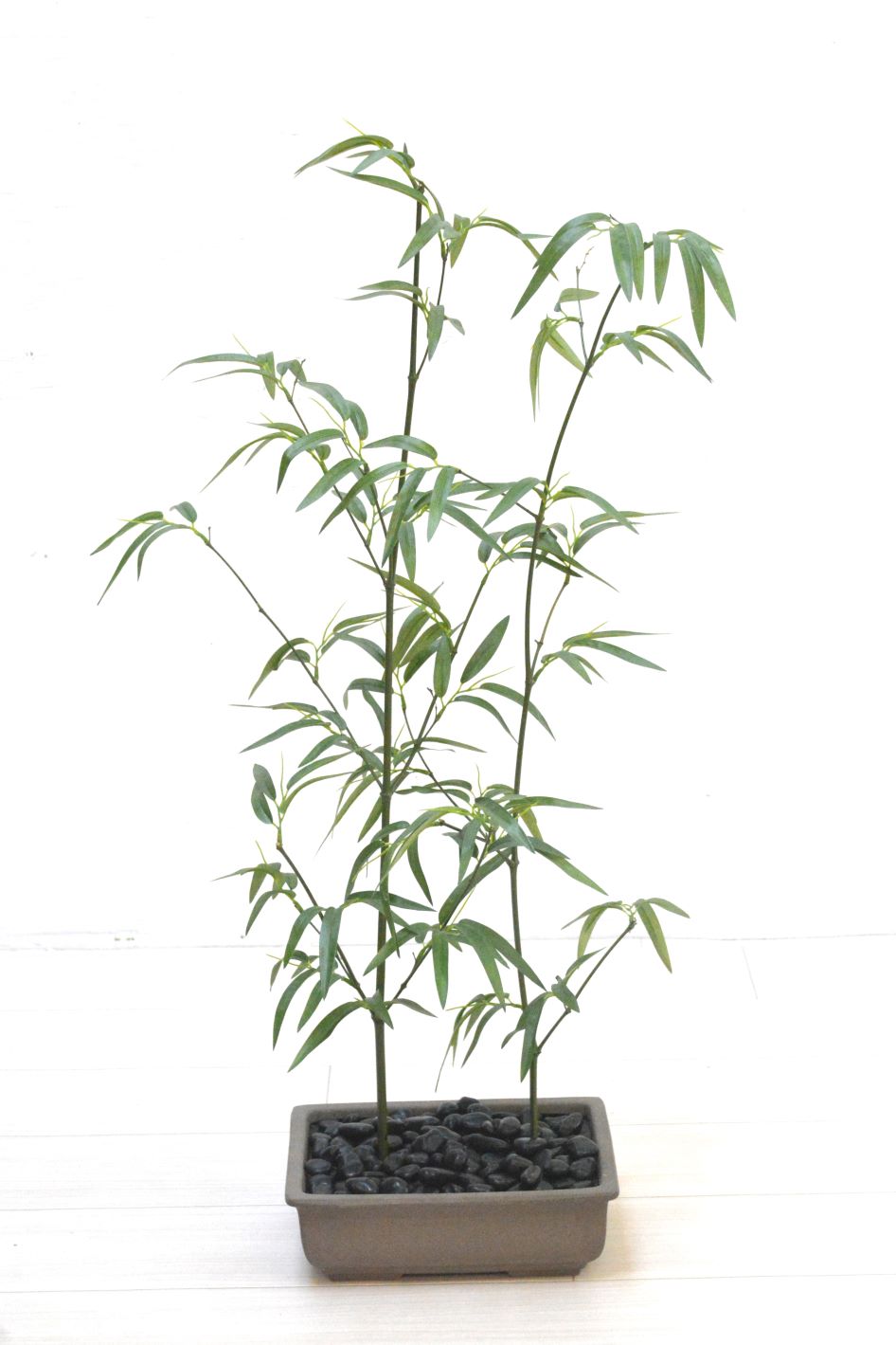 竹(1点物)