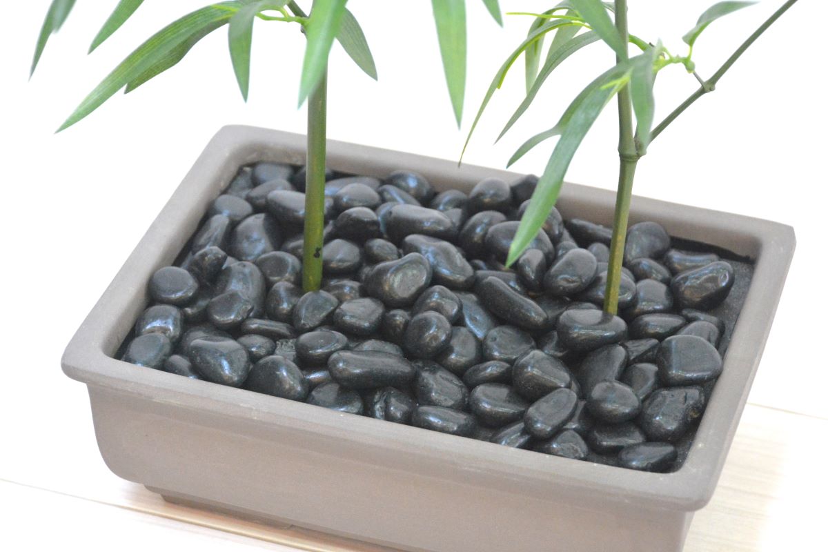 竹(1点物)