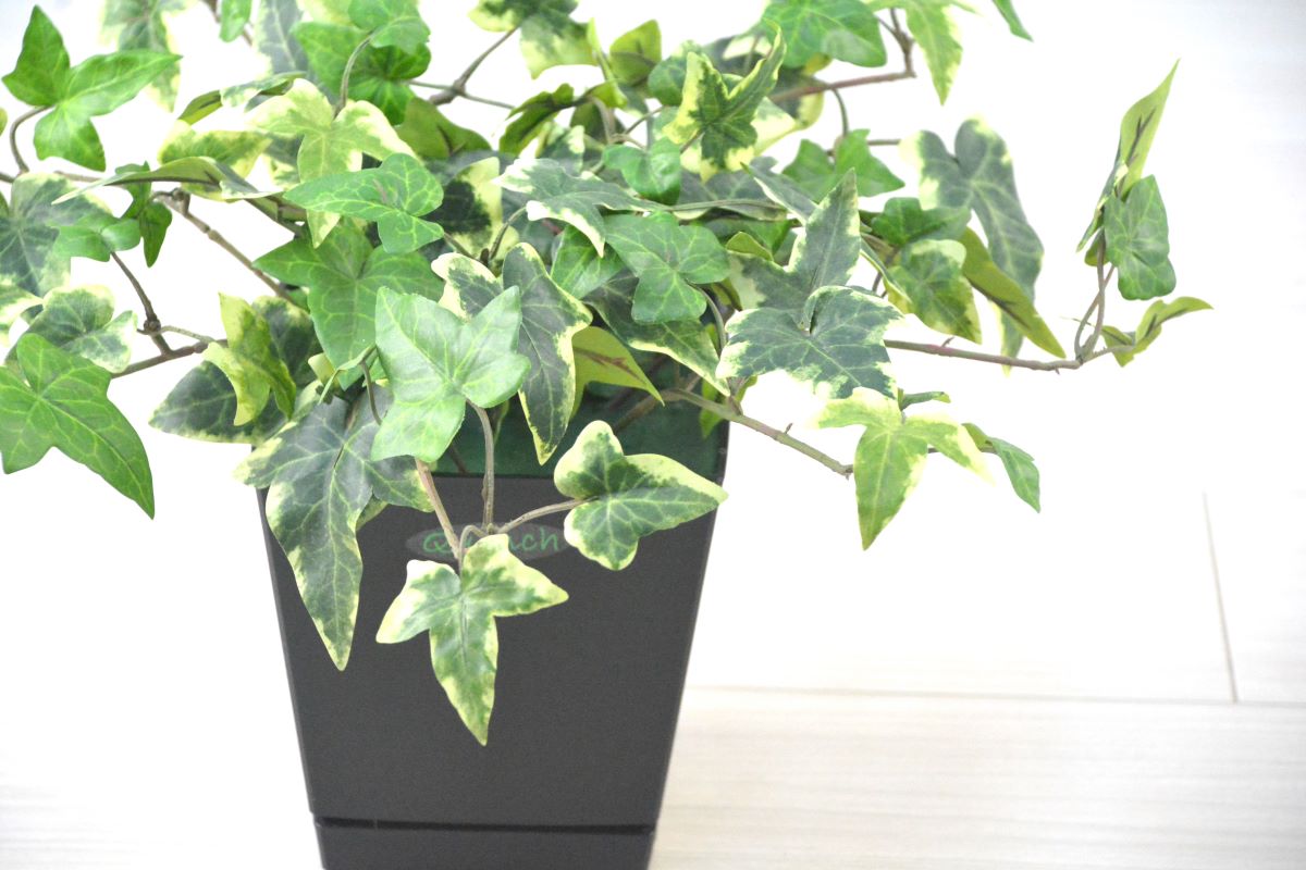 アイビー(難燃)(1点物)