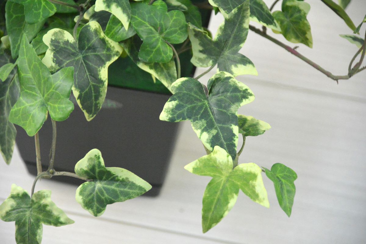 アイビー(難燃)(1点物)