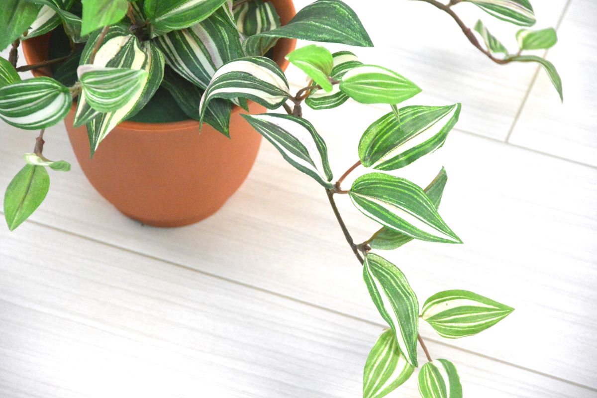 ワンダーリング(1点物)