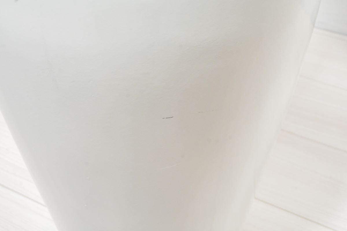 ストレチア(1点物)