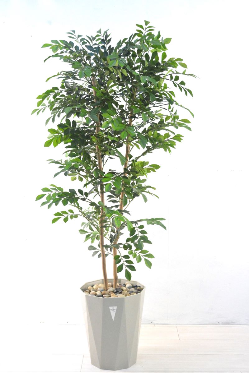 トネリコ(1点物)