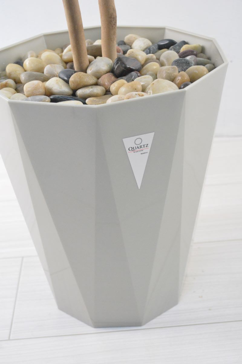 トネリコ(1点物)