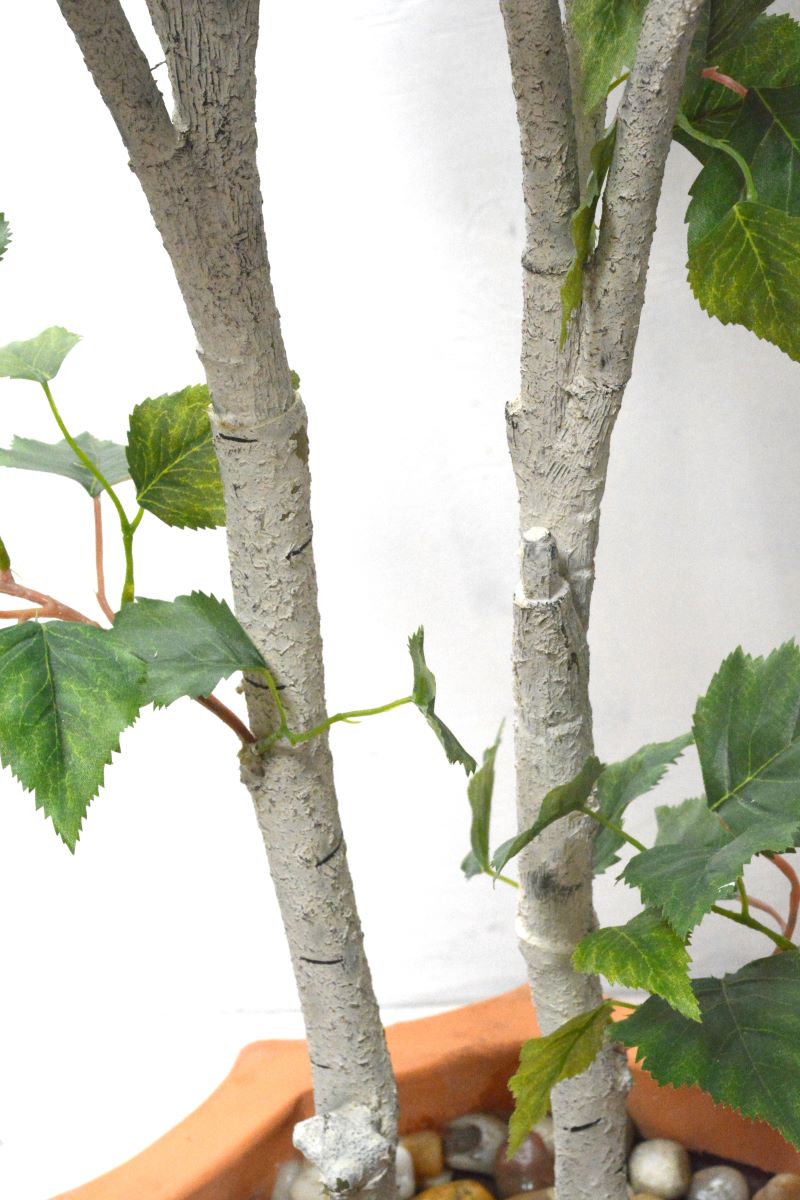 シラカバ(1点物)