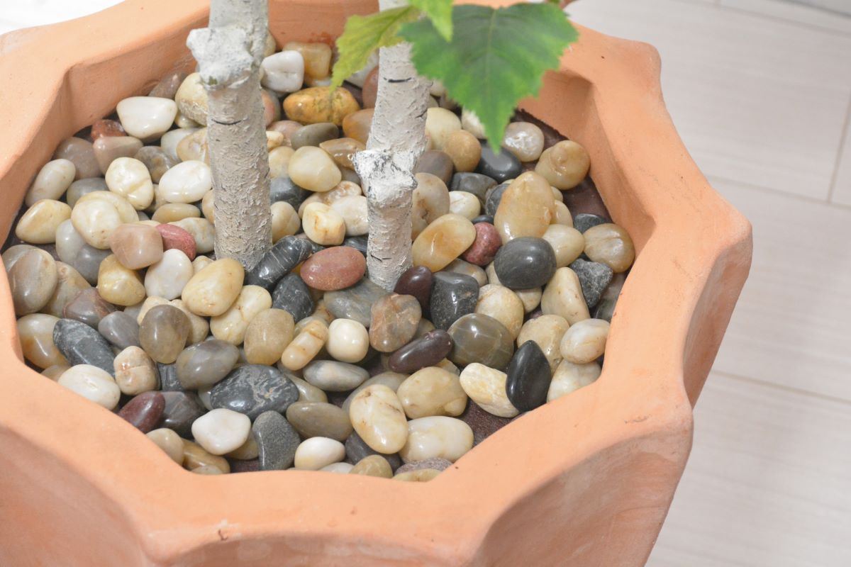 シラカバ(1点物)