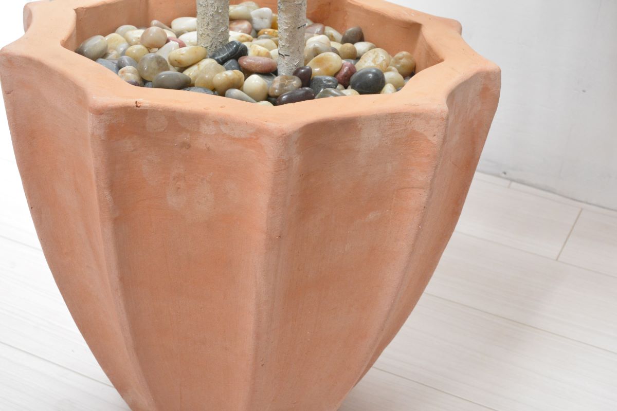 シラカバ(1点物)