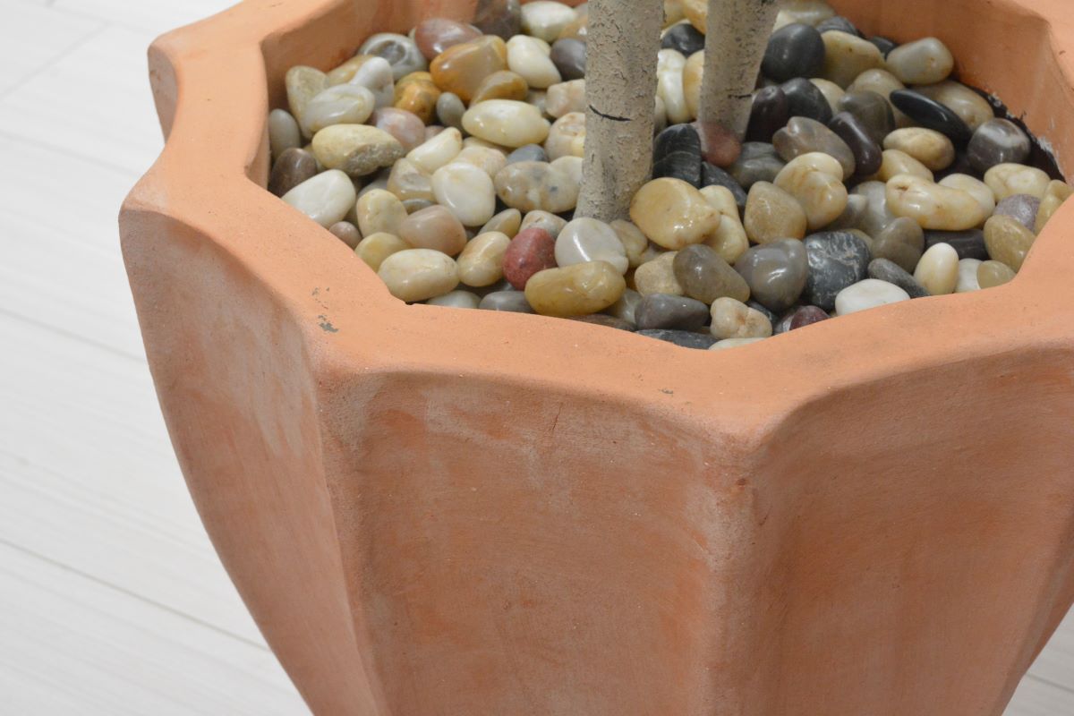 シラカバ(1点物)